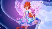Bloom Butterflix.jpg