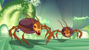 AcarosPlantaT7.png