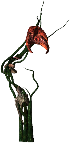 File:Bestiary Echinops full.png