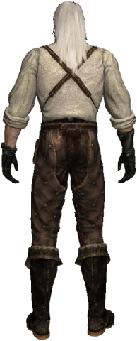 File:Geralt 1 back.png