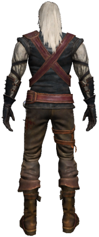 File:Geralt 3 back.png