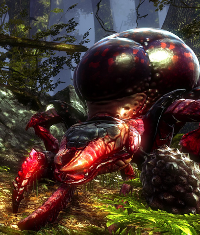 File:Tw2 screenshot Endrega queen.png