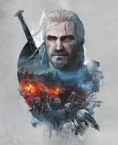 File:Witcher3SteelbookSkellige.jpg