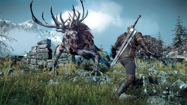 File:Witcher3MonsterCombat.jpg