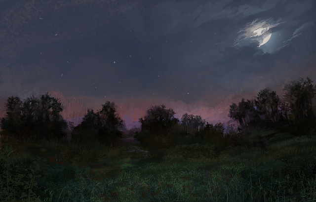 File:Loading Fields night.png