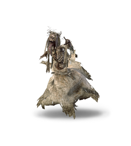 File:Tw3 journal noonwraith.png
