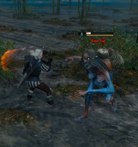 File:Tw3 fighting Water hag.png