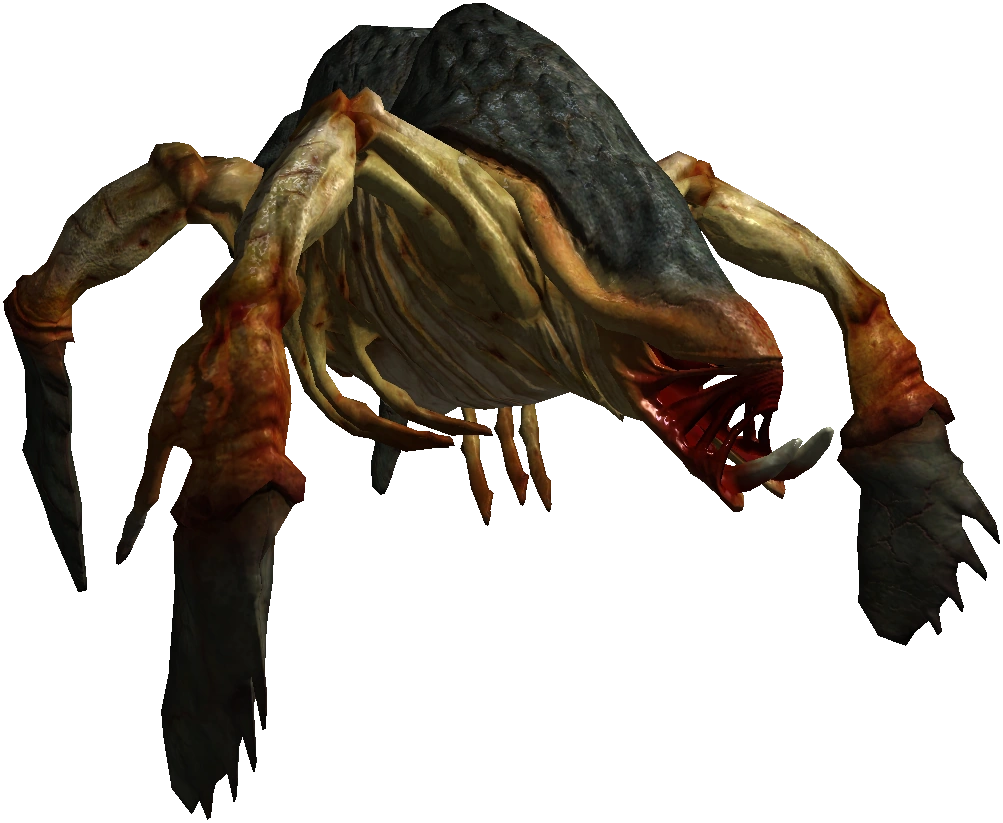 Kikimore queen | Witcher Wiki | FANDOM powered by Wikia