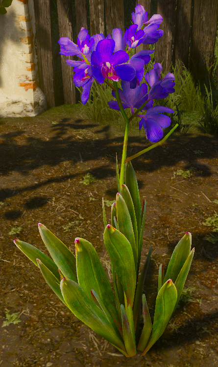 File:Tw3 Blue Lotus.png