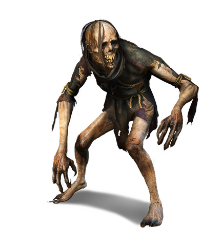 File:Tw3 journal wicht.png