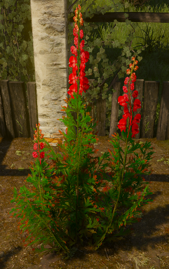 File:Tw3 Winter Cherry.png