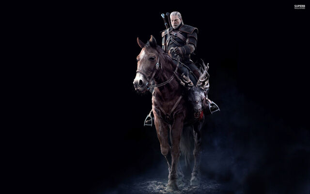 File:The-witcher-3-wild-hunt-21708-2560x1600.jpg