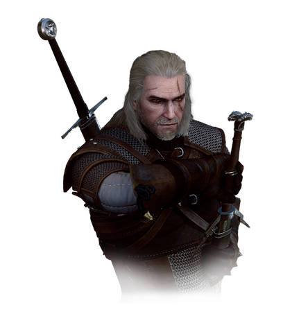 File:Tw3 geralt journal.png