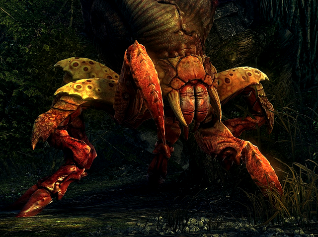 File:Bestiary Arachas portrait.png