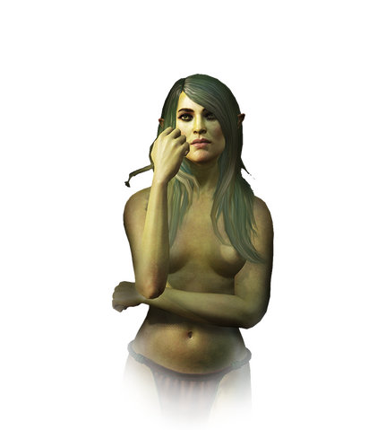 File:Tw3 journal ladyofthelake.png