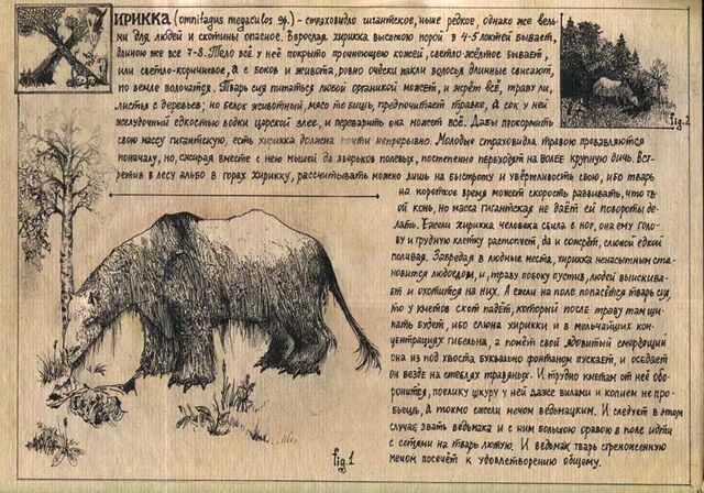 File:Hirikka2.jpg