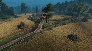 Tw3 wheat fields