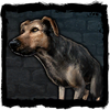 Bestiary Dog