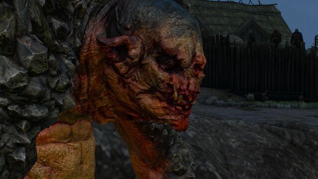 File:Tw3 errant troll.jpg