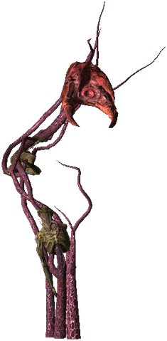 File:Bestiary Archespore full.png