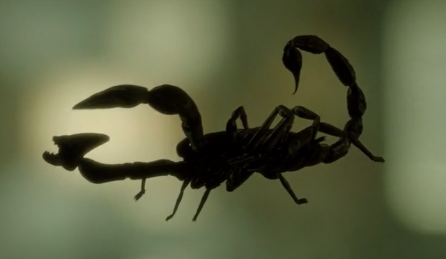 File:Deathscorpion.png