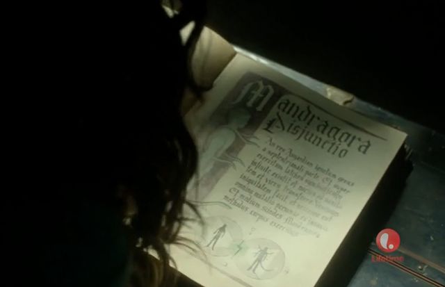 File:Mandragoradisjunctio.png
