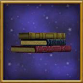 Stackof3Books-WizardCityHouseItem