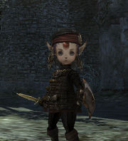 Thief Porkul