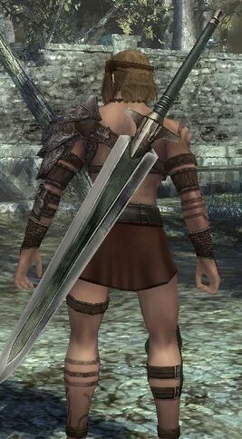 Duel sword