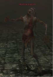 Shadow dancer