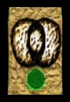 File:Control.jpg