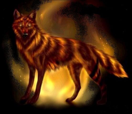 Datei:Fire wolf.jpg