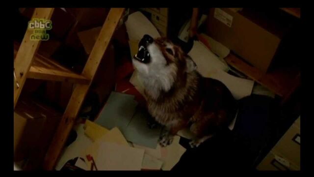 File:Wolfy.jpg
