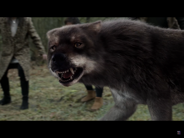 Image - IMG 2079.PNG | Wolfblood Wiki | FANDOM powered by Wikia