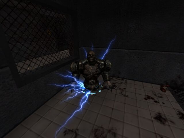 Plik:Lopers2.jpg