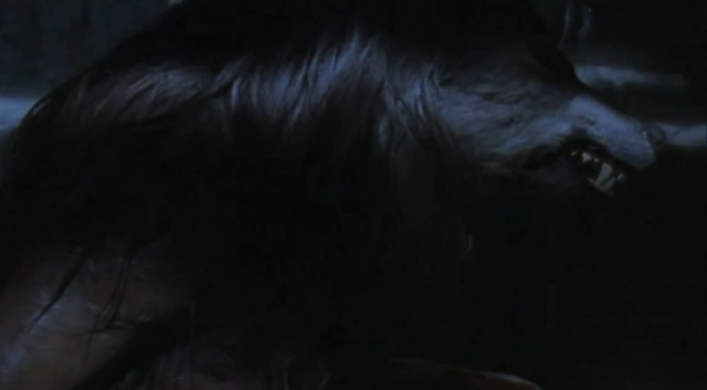 File:Ryan wolf.png