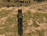Sleep anim (2.7)