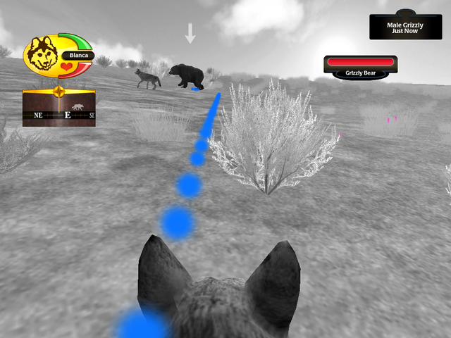 File:Bear scent.png