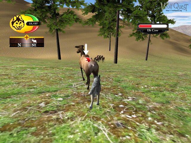 File:Screen shot11.jpg