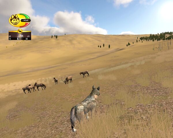 File:Screen shot37.jpg