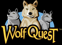 File:Wiki-Preview.png