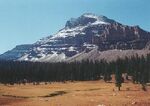 Yellowstone Amethyst Mountain
