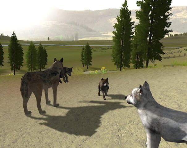 File:Screen shot46.jpg