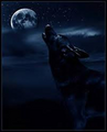 Thumbnail for version as of 16:34, August 14, 2010