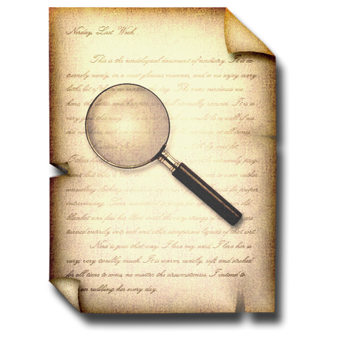Plik:Document - Search.png