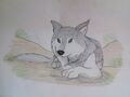 Thumbnail for version as of 05:59, February 23, 2012