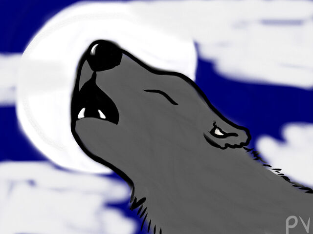 File:Paint-15.jpg