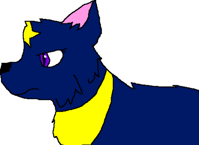 File:Costume.png