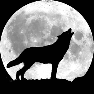 Wolf 5