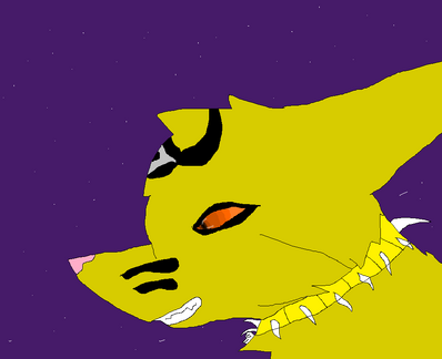 Eva under the stars